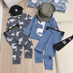 SET 2 BỘ DÀI TAY KHỦNG LONG XÁM XANH