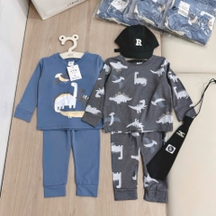 SET 2 BỘ DÀI TAY KHỦNG LONG XÁM XANH