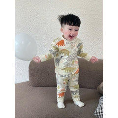 SET 3 BỘ DÀI TAY KHỦNG LONG KẺ XANH BE