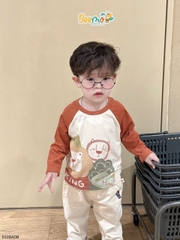 ÁO THUN BEEMO DÀI TAY RAGLAN IN HÌNH CUTE