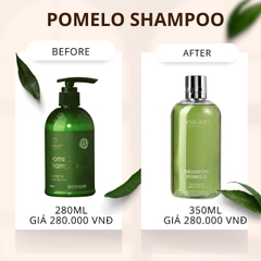 [NEW VERSION 350ML] DẦU GỘI BƯỞI VIJULLY Giúp giảm rụng tóc, kích mọc tóc và giúp tóc chắc khoẻ