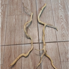 Lũa đỗ quyên loại ngắn trang trí bể cá, đồ chơi leo chèo cho ốc mượn hồn