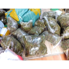 1kg Rêu rừng khô giá sỉ xanh mướt giữ ẩm cho cây, ếch, ốc, nhện,...