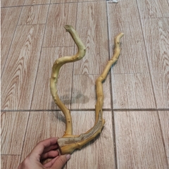 Lũa đỗ quyên loại ngắn trang trí bể cá, đồ chơi leo chèo cho ốc mượn hồn