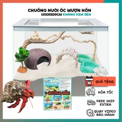 Combo nuôi ốc mượn hồn đầy đủ phụ kiện ( không kèm đèn ) B1050