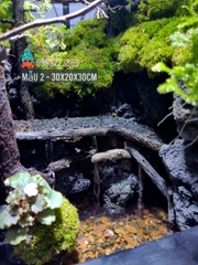 Bể bán cạn chuyên dụng nuôi cua ma cà rồng 30x20x30cm - mẫu 02