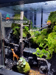 Bể bán cạn chuyên dụng nuôi cua ma cà rồng 30x20x30cm - mẫu 02