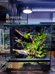 Bể bán cạn chuyên dụng nuôi cua ma cà rồng 30x20x30 cm - mẫu 03