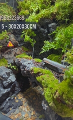 Bể bán cạn chuyên dụng nuôi cua ma cà rồng 30x20x30cm - mẫu 05