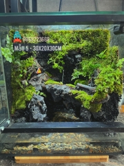 Bể bán cạn chuyên dụng nuôi cua ma cà rồng 30x20x30cm - mẫu 05