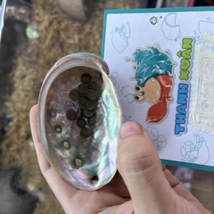 Bát ăn cho ốc mượn hồn nhỏ vân xà cừ lấp lánh 6-7cm