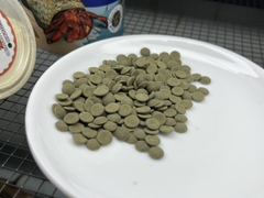 Thức ăn chuyên dụng cho ốc mượn hồn