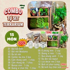 Combo terrarium, combo tự làm terrarium, combo setup terrarium 11 món