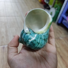 Vỏ ốc xà cừ xanh baby họa tiết ngẫu nhiên cỡ L XL 3XL