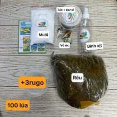 Combo nuôi ốc mượn hồn cỡ nhỏ không kèm chuồng mã KB-100