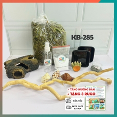 Combo nuôi ốc baby xs không kèm chuồng - mã KB-285