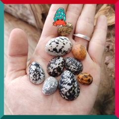 1kg vỏ ốc lẫn lộn từ cỡ siêu baby tới cỡ L