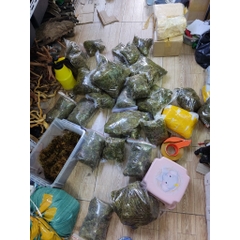 1kg Rêu rừng khô giá sỉ xanh mướt giữ ẩm cho cây, ếch, ốc, nhện,...