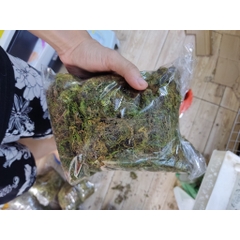 1kg Rêu rừng khô giá sỉ xanh mướt giữ ẩm cho cây, ếch, ốc, nhện,...