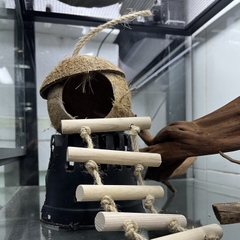 Hang trú gáo dừa thang 10 thanh gỗ