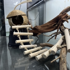 Hang trú gáo dừa thang 10 thanh gỗ