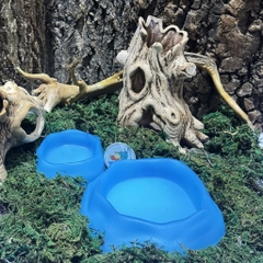 COMBO 2 Bát ăn chén nước màu xanh có thể kết hợp 2 cái làm bát ăn chống kiến