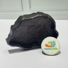 Đĩa thức ăn bát đựng nước màu đen