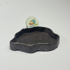 Đĩa thức ăn bát đựng nước màu đen