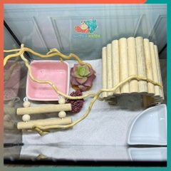 Combo nuôi ốc mượn hồn đầy đủ phụ kiện ( không kèm đèn ) B880