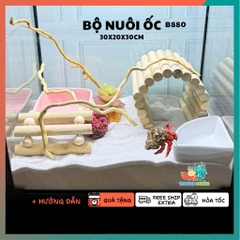 Combo nuôi ốc mượn hồn đầy đủ phụ kiện ( không kèm đèn ) B880