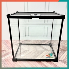 Combo nuôi ốc mượn hồn đầy đủ phụ kiện ( không kèm đèn ) B880
