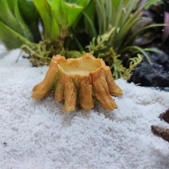 Bát ăn mini hình gốc cây xinh xắn cho thú cưng nhỏ