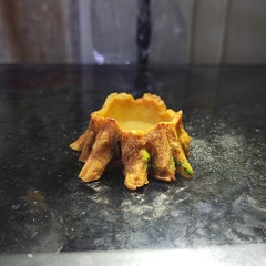 Bát ăn mini hình gốc cây xinh xắn cho thú cưng nhỏ