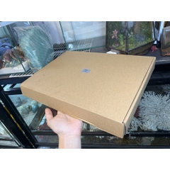 Đèn đế gỗ 5w trang trí bể cây hoặc bể thú cưng