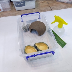 Bát ăn chén nước chén ăn cho bò sát ốc mượn hồn