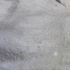 Cát trắng thủy sinh bịch 1000 gram