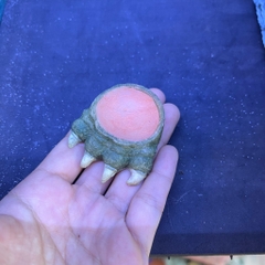 Bát ăn mini 4cm cho cua ma cà rồng, ốc nhỏ, và một số loài mini