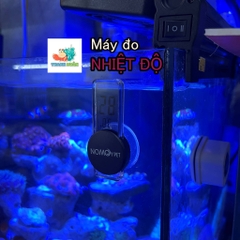 Nhiệt kế đo độ dán bể cá có thể thay pin hàng hãng Nomoypet