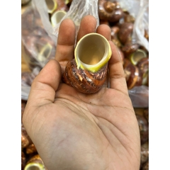 Vỏ ốc xà cừ đỏ size S M L họa tiết ngẫu nhiên