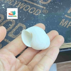 Vỏ ốc hoa trắng cỡ xs-s