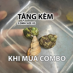 Combo nuôi tặng kèm OMH và phiếu hướng dẫn cho người mới kích thước 45x31x16cm