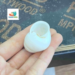 Vỏ ốc hoa trắng cỡ xs-s