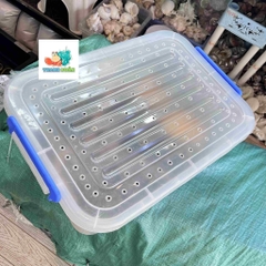 Combo nuôi tặng kèm OMH và phiếu hướng dẫn cho người mới kích thước 45x31x16cm