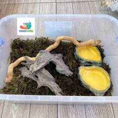 Combo nuôi tặng kèm OMH và phiếu hướng dẫn cho người mới kích thước 45x31x16cm