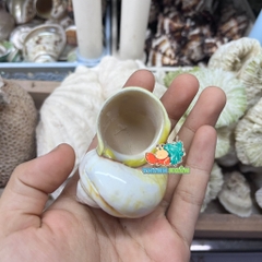 Vỏ ốc xà cừ vàng cỡ M L cho ốc mượn hồn