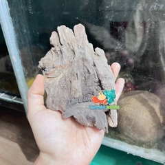 Lũa gỗ san đá nhỏ kích thước 15-20cm giao ngẫu nhiên