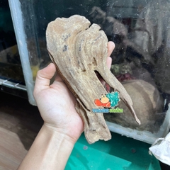 Lũa gỗ san đá nhỏ kích thước 15-20cm giao ngẫu nhiên