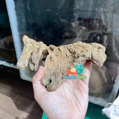 Lũa gỗ san đá nhỏ kích thước 15-20cm giao ngẫu nhiên