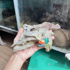 Lũa gỗ san đá nhỏ kích thước 15-20cm giao ngẫu nhiên