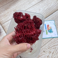 San hô đỏ màu tự nhiên là thức ăn và trang trí cho chuồng nuôi